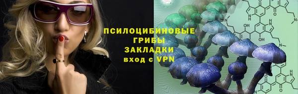 ПСИЛОЦИБИНОВЫЕ ГРИБЫ Белокуриха