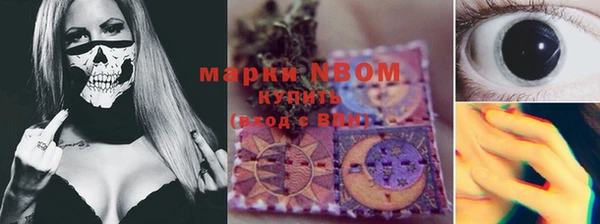 крисы Баксан