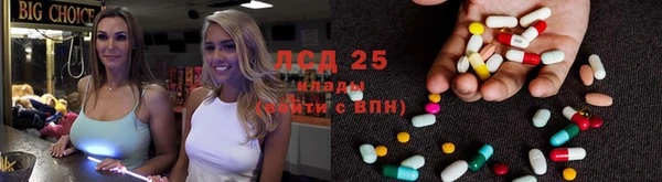 гашик Беломорск