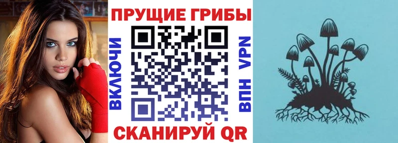 сайты даркнета состав  Мамадыш  Псилоцибиновые грибы прущие грибы 